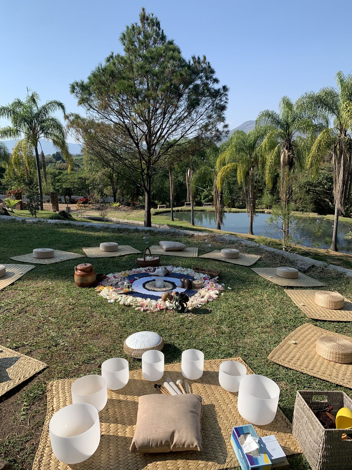 Abstract dashboard style wave and cards